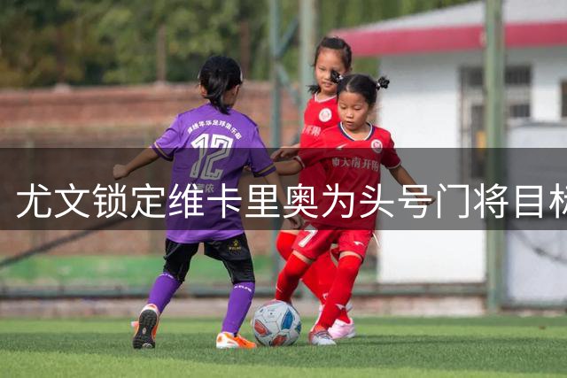 尤文锁定维卡里奥为头号门将目标，卢库米加盟在即